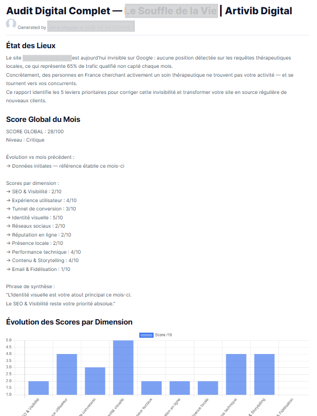 Artivib audit rapport